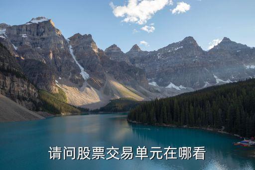 哪里可以買(mǎi)到上海證券交易所成交記錄