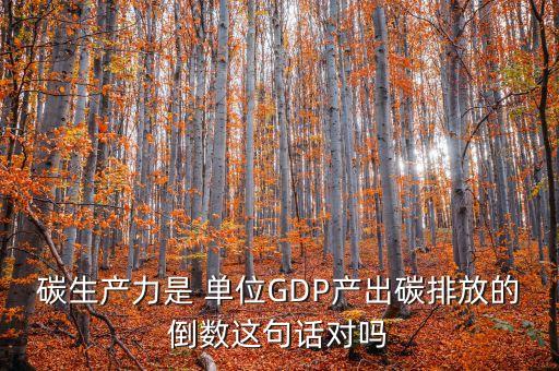 碳生產(chǎn)力是 單位GDP產(chǎn)出碳排放的倒數(shù)這句話(huà)對(duì)嗎