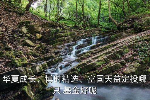 華夏成長、博時(shí)精選、富國天益定投哪只 基金好呢