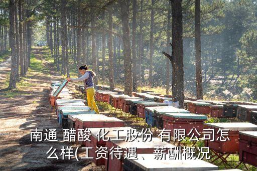  南通 醋酸 化工股份 有限公司怎么樣(工資待遇、薪酬概況