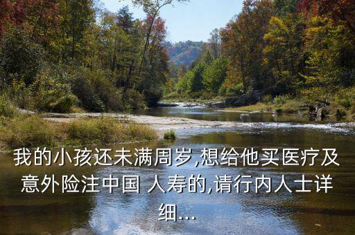 我的小孩還未滿周歲,想給他買醫(yī)療及意外險(xiǎn)注中國 人壽的,請(qǐng)行內(nèi)人士詳細(xì)...