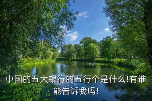 中國的五大銀行的五行個(gè)是什么!有誰能告訴我嗎!