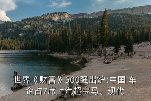 世界《財(cái)富》500強(qiáng)出爐:中國(guó) 車企占7席上汽超寶馬、現(xiàn)代