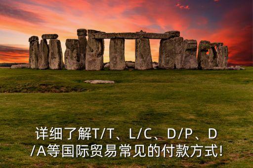 詳細(xì)了解T/T、L/C、D/P、D/A等國際貿(mào)易常見的付款方式!