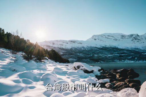 買(mǎi)臺(tái)灣股票,臺(tái)灣股票goodinfo
