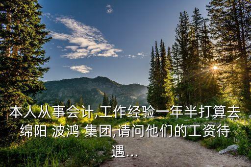 本人從事會計,工作經(jīng)驗(yàn)一年半打算去綿陽 波鴻 集團(tuán),請問他們的工資待遇...