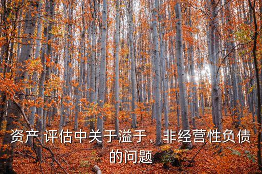 資產(chǎn) 評估中關(guān)于溢于、非經(jīng)營性負(fù)債的問題