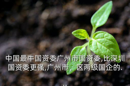 中國(guó)最牛國(guó)資委廣州市國(guó)資委,比深圳國(guó)資委更強(qiáng),廣州市、區(qū)兩級(jí)國(guó)企的...