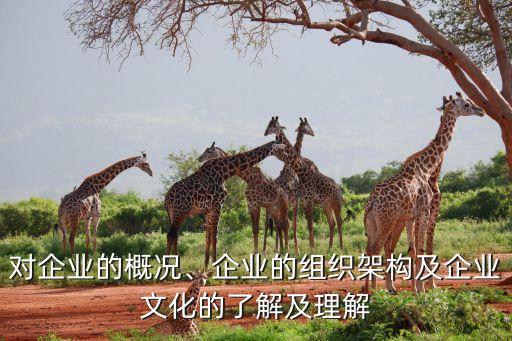 對(duì)企業(yè)的概況、企業(yè)的組織架構(gòu)及企業(yè)文化的了解及理解