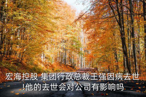 宏海控股 集團(tuán)行政總裁王強(qiáng)因病去世!他的去世會(huì)對公司有影響嗎