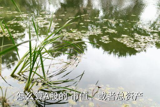 怎么算A股的 市值、或者總資產(chǎn)