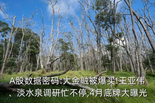 A股數(shù)據(jù)密碼:大金融被爆買!王亞偉、淡水泉調(diào)研忙不停,4月底牌大曝光