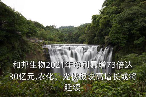 和邦生物2021年凈利暴增73倍達30億元,農(nóng)化、光伏板塊高增長或?qū)⒀永m(xù)