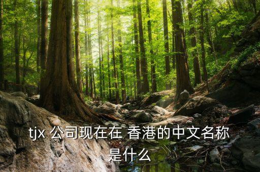 tjx 公司現(xiàn)在在 香港的中文名稱(chēng)是什么