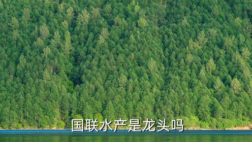  國聯(lián)水產是龍頭嗎