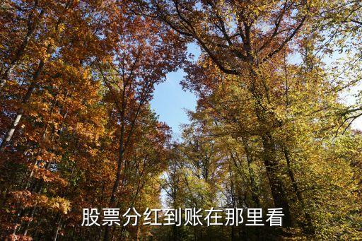 下周除權(quán)除息的股票查詢(xún),7月除權(quán)除息股票查詢(xún)表