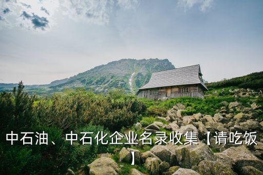 中石油、中石化企業(yè)名錄收集【請(qǐng)吃飯】