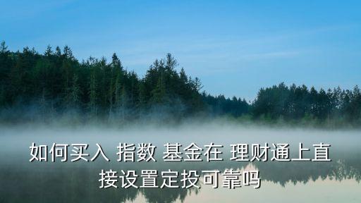 如何買(mǎi)入 指數(shù) 基金在 理財(cái)通上直接設(shè)置定投可靠嗎