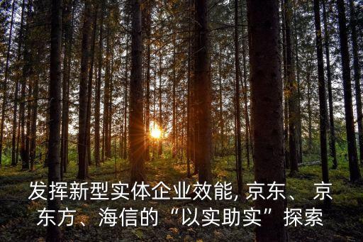 發(fā)揮新型實(shí)體企業(yè)效能, 京東、 京東方、海信的“以實(shí)助實(shí)”探索