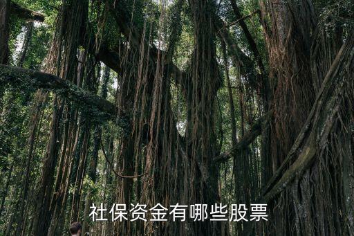全國(guó)社保基金組合