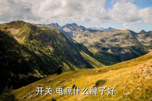 開(kāi)關(guān) 電源什么牌子好