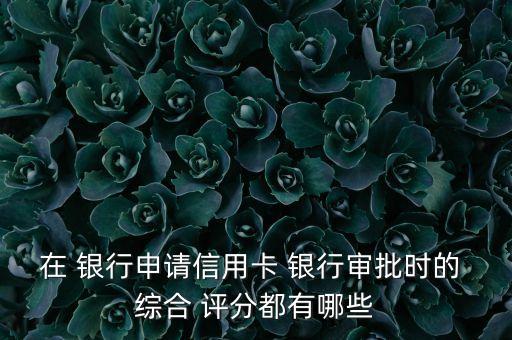 在 銀行申請信用卡 銀行審批時(shí)的 綜合 評(píng)分都有哪些