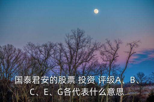 國泰君安的股票 投資 評級A、B、C、E、G各代表什么意思