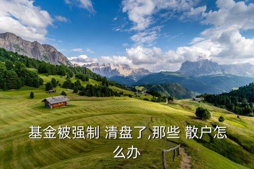  基金被強(qiáng)制 清盤(pán)了,那些 散戶怎么辦