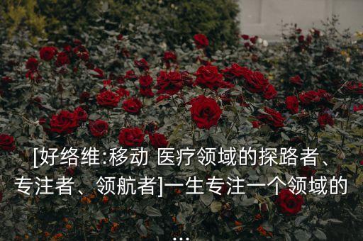 [好絡(luò)維:移動(dòng) 醫(yī)療領(lǐng)域的探路者、專注者、領(lǐng)航者]一生專注一個(gè)領(lǐng)域的...
