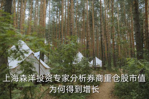 上海森洋投資專(zhuān)家分析券商重倉(cāng)股市值為何得到增長(zhǎng)