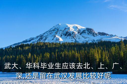 武大、華科畢業(yè)生應(yīng)該去北、上、廣、深,還是留在武漢發(fā)展比較好呢
