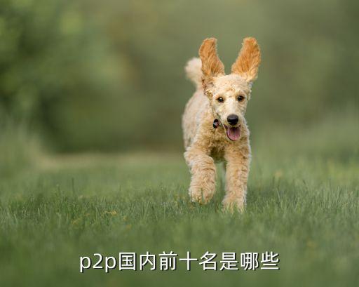 中國互聯(lián)網(wǎng)金融百強(qiáng)品牌評(píng)選