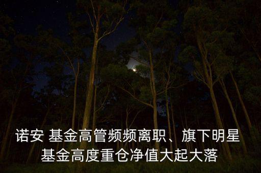 諾安 基金高管頻頻離職、旗下明星 基金高度重倉凈值大起大落