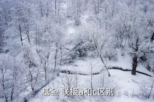 什么是聯接基金,基金聯接a和c的區(qū)別