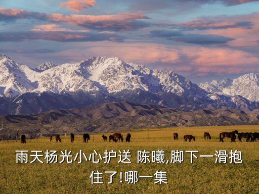 北京人民銀行總行陳曦,人民銀行上?？偛亢捅本┛傂袇^(qū)別