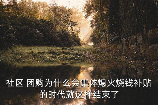 社區(qū) 團(tuán)購為什么會集體熄火燒錢補(bǔ)貼的時(shí)代就這樣結(jié)束了