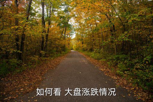 如何看 大盤(pán)漲跌情況
