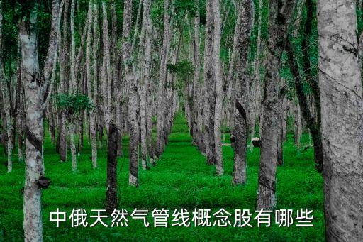 中俄天然氣管線(xiàn)概念股有哪些