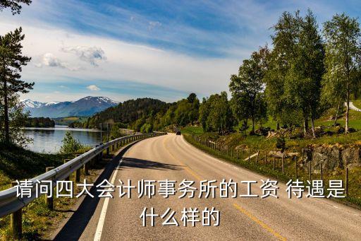 上市公司經理基本待遇