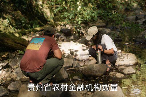 貴州省農(nóng)村金融機構數(shù)量