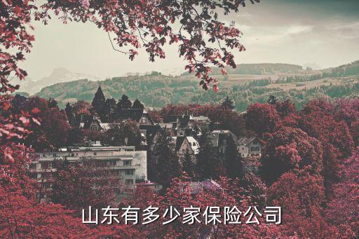?？等藟凵綎|分公司,天安人壽山東分公司
