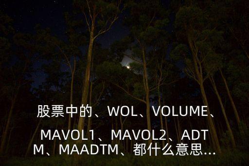  股票中的、WOL、VOLUME、MAVOL1、MAVOL2、ADTM、MAADTM、都什么意思...