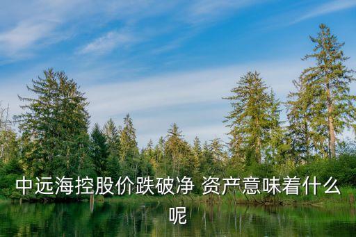 中遠(yuǎn)?？毓蓛r(jià)跌破凈 資產(chǎn)意味著什么呢