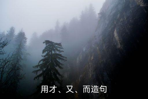 用才、又、而造句