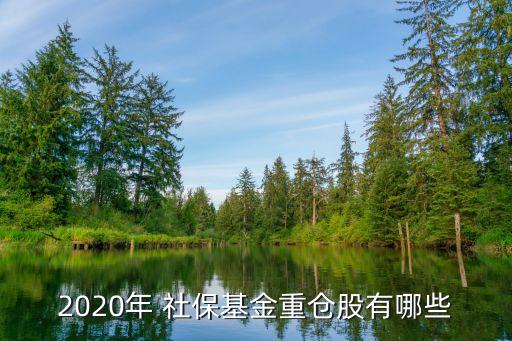 2020年 社?；鹬貍}股有哪些
