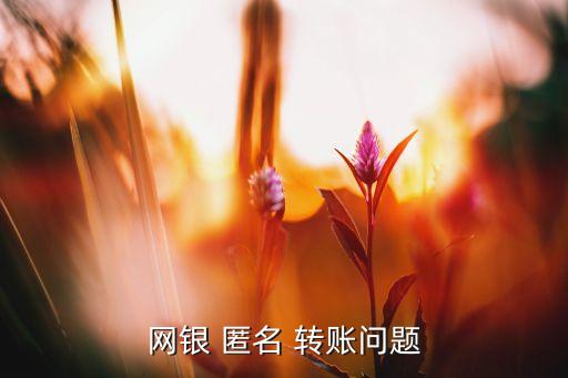 網銀 匿名 轉賬問題