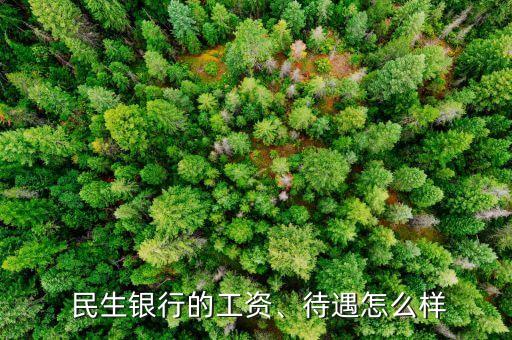  民生銀行的工資、待遇怎么樣
