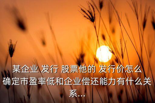 某企業(yè) 發(fā)行 股票他的 發(fā)行價怎么確定市盈率低和企業(yè)償還能力有什么關系...