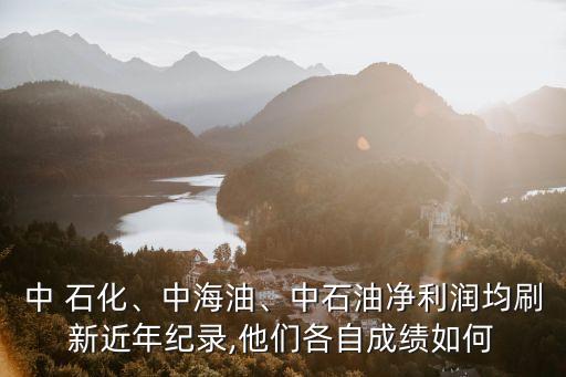 中 石化、中海油、中石油凈利潤均刷新近年紀(jì)錄,他們各自成績(jī)?nèi)绾? class=