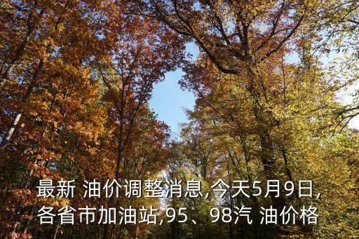 最新 油價(jià)調(diào)整消息,今天5月9日,各省市加油站,95、98汽 油價(jià)格
